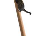 SHENGOCASE Modern 78.7“ Tall Leaning Cat Tree Tower Scratching Post Pillar with Bed Perch, Climbing Pole for Wall and Window, Wall Mounted Shelves