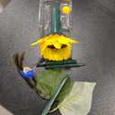 Hummingbird Flying Simulation for Garden and Window Decoration, Powered by Solar Panel (Sunflower)