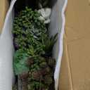 Supla Artificial Potted Succulents Plants Arrangement Fake Succulent Plants in Rectangular Wooden Pot Arrangement for Table Centerpiece Windowsill Greenery Decor