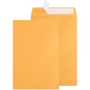 6x9 Catalog Envelopes 100 Pack Small Envelopes Brown Kraft Self Seal Security Mailing Envelopes for Documents, Cards, Photos, Office, Business