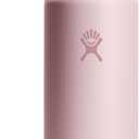 Hydro Flask Water Bottle - Insulated Stainless Steel - Wide Straw Lid, Non Spill, Leakproof in 40 Oz Agave Green