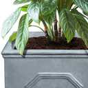 Kante Square Lion Head Concrete Planter Set of 2, Classic English Style Plant Pot with Drainage Hole and Rubber Plug for Indoor Outdoor, 10.2"x10.2"x10.2" and 12.6"x12.6"x12.6" Antique Gray