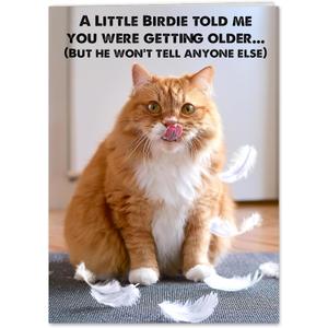 4 x Funny Cat Birthday Cardfor Women, Men, Coworkers, Friends & Family plus Free bonus Postcard included - a little birdie told us you're a year older