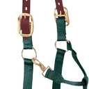 Weaver Equine Breakaway Horse Halter, Supple Leather Crown, Adjustable Brass Throat Snap Halters for Horses, Equine Tack (Hunter Green)