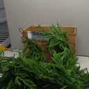 Senjie Christmas Garland Norfolk Pine Garland Real Touch Artificial Greenery Garland for Mantle Fireplace Table Indoor Outdoor Holiday Decortions 6FT 2PCS, 6 ft (1 Pack- Young)