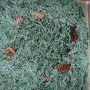 24 inch Christmas Wreath for Front Door, Real Touch Cedar Wreath with Pinecones Large Christmas Door Wreaths Artificial Hanging Pine Wreath for Xmas Indoor Outdoor Windows Holiday Decorations