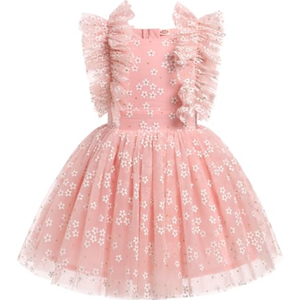 Toddler Wedding Dress, Baby Girl Dress, Dress for Baby Girl, Toddler Birthday Dress Infant Ruffled Embroidered Special Occasion Graduation Sundress for Baptism Bridesmaid Pink Daisy 5-6 Years