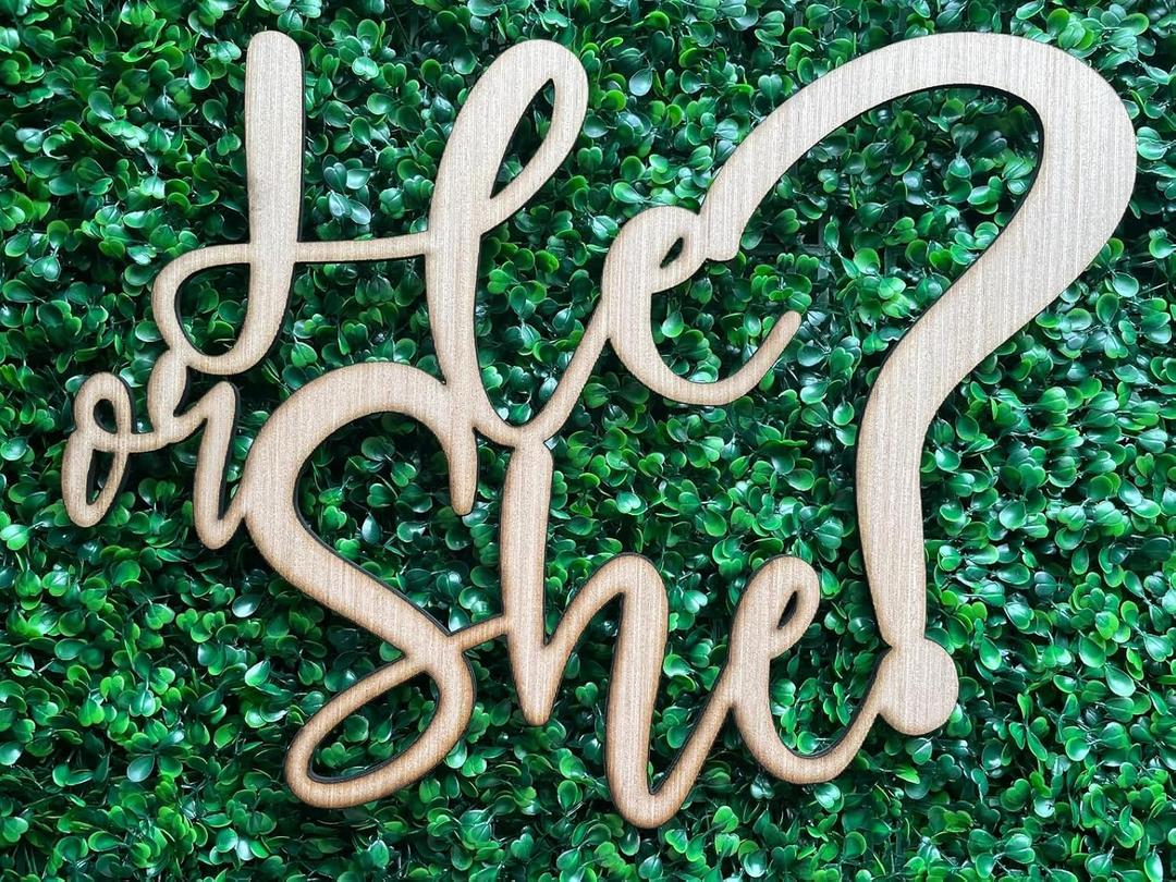 He or She Backdrop Wooden Sign, Gender Reveal Decor for Baby Shower Wood Sign,He or She What Will Baby Be(12inch*12inch)
