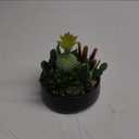 DILATATA Artificial Cactus Plants in Pot 5.5 Inch Fake Succulents Arrangement Potted Plant in Black Ceramic Planter Bowl for Home Office Desk Shelf Living Room Bedroom Bathroom Decor