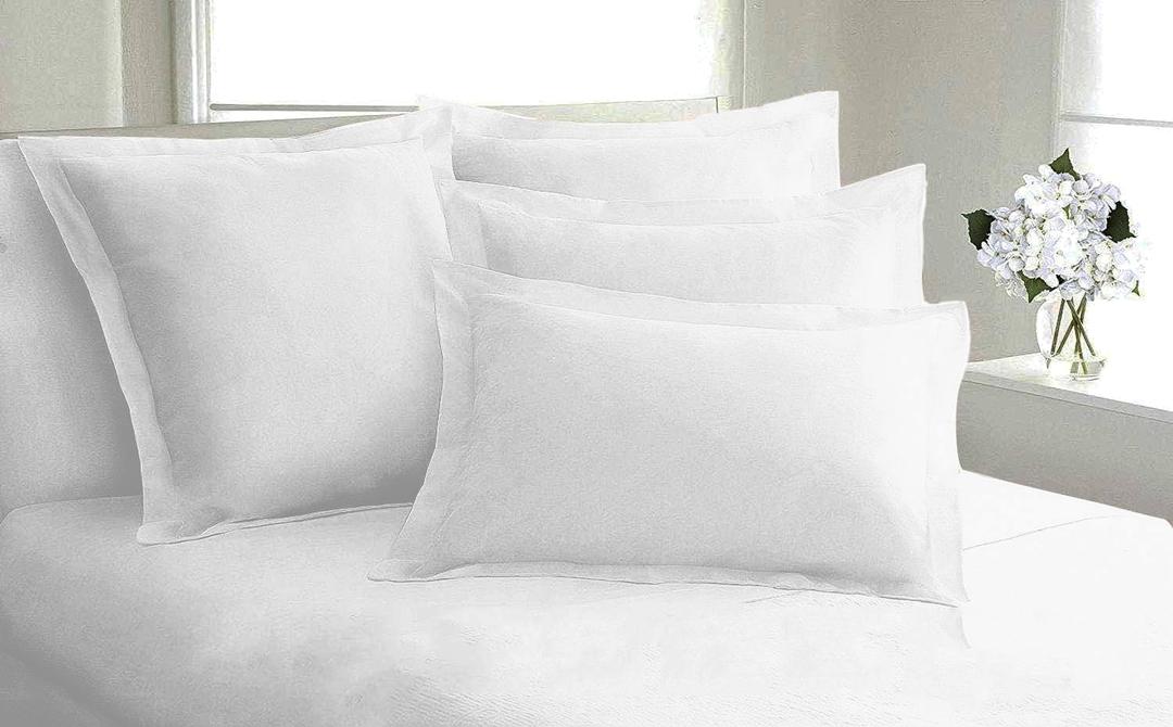 Bluemoon Homes Set of 2 Pilow Shams 100% Egyptian Cotton 1000 Thread Count Pillow Cover Protector Premium Hotel Quality Bedding (King Size (20"X40"), White)