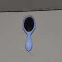 Wet Brush Detangling Brush, Original Detangler Brush (Sky) - Wet & Dry Tangle-Free Hair Brush for Women & Men - No Tangle Soft & Flexible Bristles for Straight, Curly, & Thick Hair