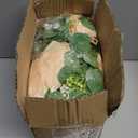 Dolicer 2Pcs 13Ft Artificial Eucalyptus Garlands with Flowers - 8 Roses, Faux Floral Greenery Garlands Fake Flowers Vines for Wedding Table Centerpieces Arch Party Ceremony Backdrop Decor (Champagne)