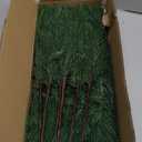 Rowfad 12 Pcs Artificial Norfolk Pine Branches, Norfolk Pine Artificial Pine Stems DIY Crafts Faux Christmas Greenary Norfolk Pine Branches for Xmas Wreath Garland Home Decor (12)