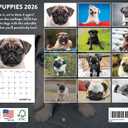 Pug Calendar 2026 Wall Puppies Monthly Pugs Gifts For Pug Lovers For Women Men Children | American Made In The USA