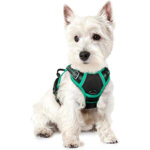 rabbitgoo Dog Harness No Pull with 2 Leash Clips, Adjustable Soft Padded, Reflective Oxford No Choke Pet Vest with Easy Control Handle for Puppy, Black & Turquoise, XS