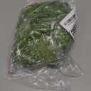 YIIBAII Beaded Curtain Beaded Curtains for Doorways Crystals Suitable for Interior Decoration and Partitions Hippy Closet Curtains (Green, 39"x79")