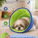 Dog Cone Collar,M (Blue)