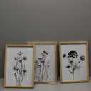 Flower Plant Wall Art Decor 16"x11" Set of 3 Black And White Botanical Painting Wood Framed For Minimalist Bedroom Office Rustic Living Room Abstract Wildflower Sign Hanging (Wood White)