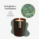 Calyan Wax Co. Evergreen & Eucalyptus Scented Candle - 75 Hour Burn - Luxury Clean Soy Wax Candles - Long Lasting Black Tumbler Jar Candle for Home - 10.2oz