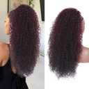 Alebery 27 Inch Drawstring Ponytail Extension for Black Women Deep Curly Ponytail Extension Synthetic Mixed with Human Hair Hairpieces Afro Kinky Curly Pony Tail for Daily Use (Burgundy)