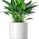 vancasso Ceramic Plant Pots, 8.25 Inch Ceramic Pot for Plants, Planters Pots for Indoor Plants with Drainage Holes, Flower Pot for Indoor House Plant, White