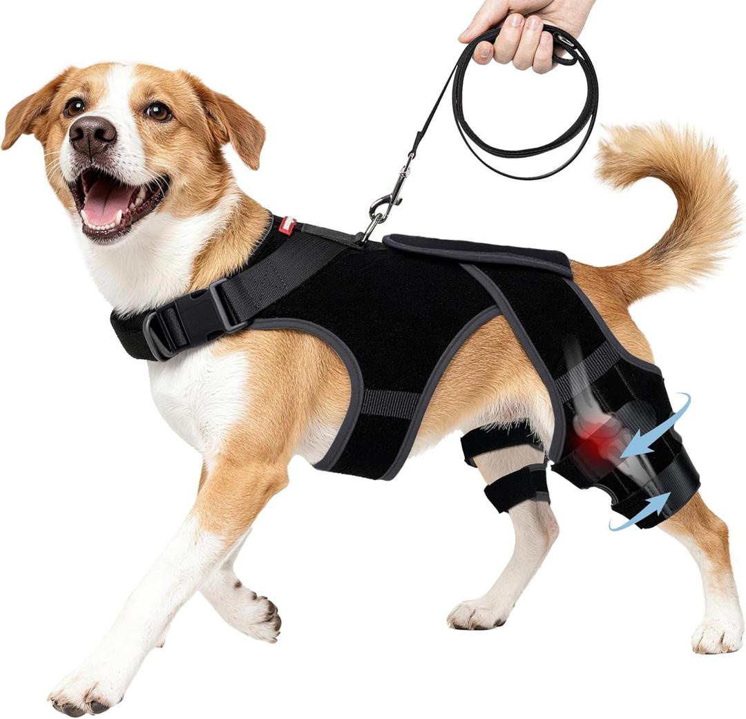 Dog Knee Brace for Torn ACL/CCL Hind Leg,Adjustable Hip Brace-Hip Dysplasia Brace-Wound Care-Reduces Pain and Inflammation-Lick Prevention (M)