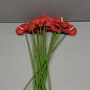 20 PCS Artificial Anthurium (1.8 inches) with Stem Clay Flower Hair Picks, Home Decor (Red)