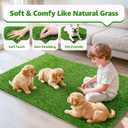 Artificial Turf Grass Outdoor: Grass Pad for Dogs Indoor Potty Training, Replacement Turf Rug for Patio Balcony Lawn Apartment Decoration, Easy to Clean with Drainage Holes(31.5x47.3 inch)