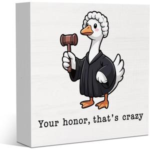 Silly Goose Law School Graduation Season Party Decor for Home School, Funny Graduation Gifts for Lawyer & Law Student 5 X 5 Inches
