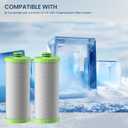 AO-US-200-R Water Filter Replacement Cartridge Compatible with AO Smith Advanced Water Filtration System, 1 Set (2 Counts)