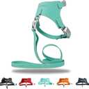 Magnetic Buckle Dog Leather Harness with 4 FT Leash | Anti-Wrinkle & Anti-Bite Leather | Ultra-Soft & Skin-Friendly | 450LB Escape-Proof Magease Buckle - Easy On/Off (Light Blue, Large)