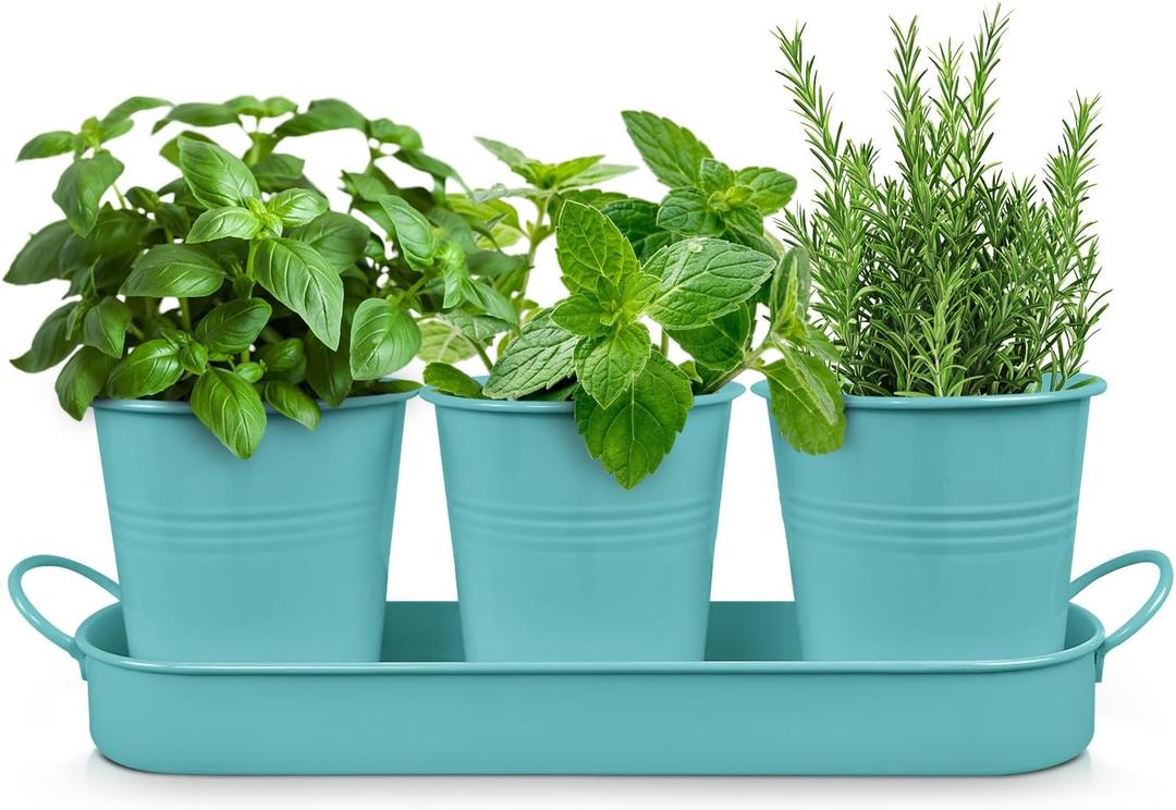 Plexon Herb Planter Indoor Garden Set of 3 with Tray, Metal Herb Pots for Indoor Plants, Round Kitchen Garden Kit Ideal for Windowsill Planter or Countertop, Tiffany Blue Powder Coated
