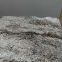 Noahas Fluffy 4x6 Area Rugs for Bedroom Living Room,Shag Khaki Thick Throw Floor Carpet,Soft Shaggy Bedside Non-Slip Plush Dorm Nursery Kids Rug