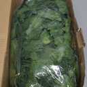 CQURE 96 Pack 672Ft Artificial Ivy Garland, Fake Vines UV Resistant Greenery Leaves Fake Plants Hanging Aesthetic Vines for Home Bedroom Party Garden Wall Room Decor