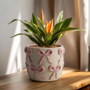 Yokiiimakiii Ceramic Flower Pots for Indoor and Outdoor Plants, Succulent Orchid Round Clay and Terracotta Planter for Garden Home Modern Decoration 5.3 Inch (Pink Bow, Without Saucers)
