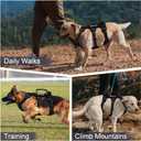 Escape Proof Dog Harness for Large Medium Sized Dogs Six Point Adjustable, Service Dog Vest Harness and Leash Set, No Pull Dogs Harnesses with Handle, Dog Harnesses for Walking(Black, M)