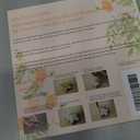 Cookie Cutters Pack Of 2