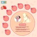 Dog Front Leg Recovery Sleeve Single Sleeve to Prevent Licking, Scratching & Biting Cone Collar Alternative for Surgery, Wound Care, ACL CCL, Joint Protection(Blush Strawberry XS)