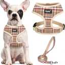 PUPTECK Soft Mesh Dog Harness and Leash Set Pet Puppy Cat Comfort Padded Vest No Pull Harnesses, Khaki, M (M (NECK: 14", CHEST: 17"-21"))