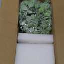 Artificial Eucalyptus Stems in White Ribbed Texture Ceramic Vase,Realistic Greenery 14" Faux Plant Arrangements Home Decor Weddings Centerpieces