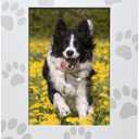 Green Pollywog Screenprinted Paw Print Picture Frame | White Hand-Finished Pinewood | Fits 5 x 7 Photo | Pet Lover Gift