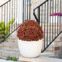 24" Artificial Boxwood Fall Topiary Trees, Faux Plants Outdoor Set of 2