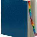 Blue Summit Expanding Desk File, Letter Size, 31 Dividers for Daily Organization, 25PT Blue PressboardExpanding Desk File, Daily 1-31, Letter Size, Blue