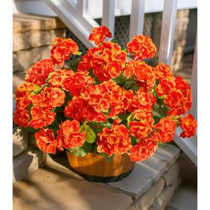 Fake Geraniums Artificial Flowers for Outdoors Fall Autumn Decoration, 6 Bundles Silk Geraniums UV Resistant Look Real Orange Faux Flowers Plants for Front Door Garden Planter Patio Balcony Yard Home