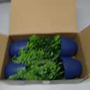 Der Rose 4 Pack Fake Plants Small Artificial Plants in Blue Pots Faux Plants Indoor for Home Kitchen Table Blue Bathroom Decor Accessories