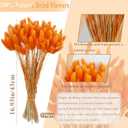 120pcs Dried Rabbit Tail Flowers Orange Tail Dried Flowers Pampas Grass Natural Dried Flower Arrangement Autumn Decoration Wedding DIY Farmhouse Christmas Halloween Family Table Decoration