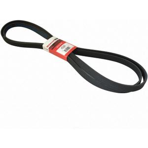 Motorcraft Drive Belt (Fit type: Vehicle Specifi)c
