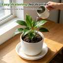 6 Packs 20 Inch Plastic Plant Saucers for Indoor Outdoor, Plant Water Catcher Tray for Pots, Bulk Flower Pot Saucers, Drip Trays for Potted Plants, Round Plates to Catch Water, White