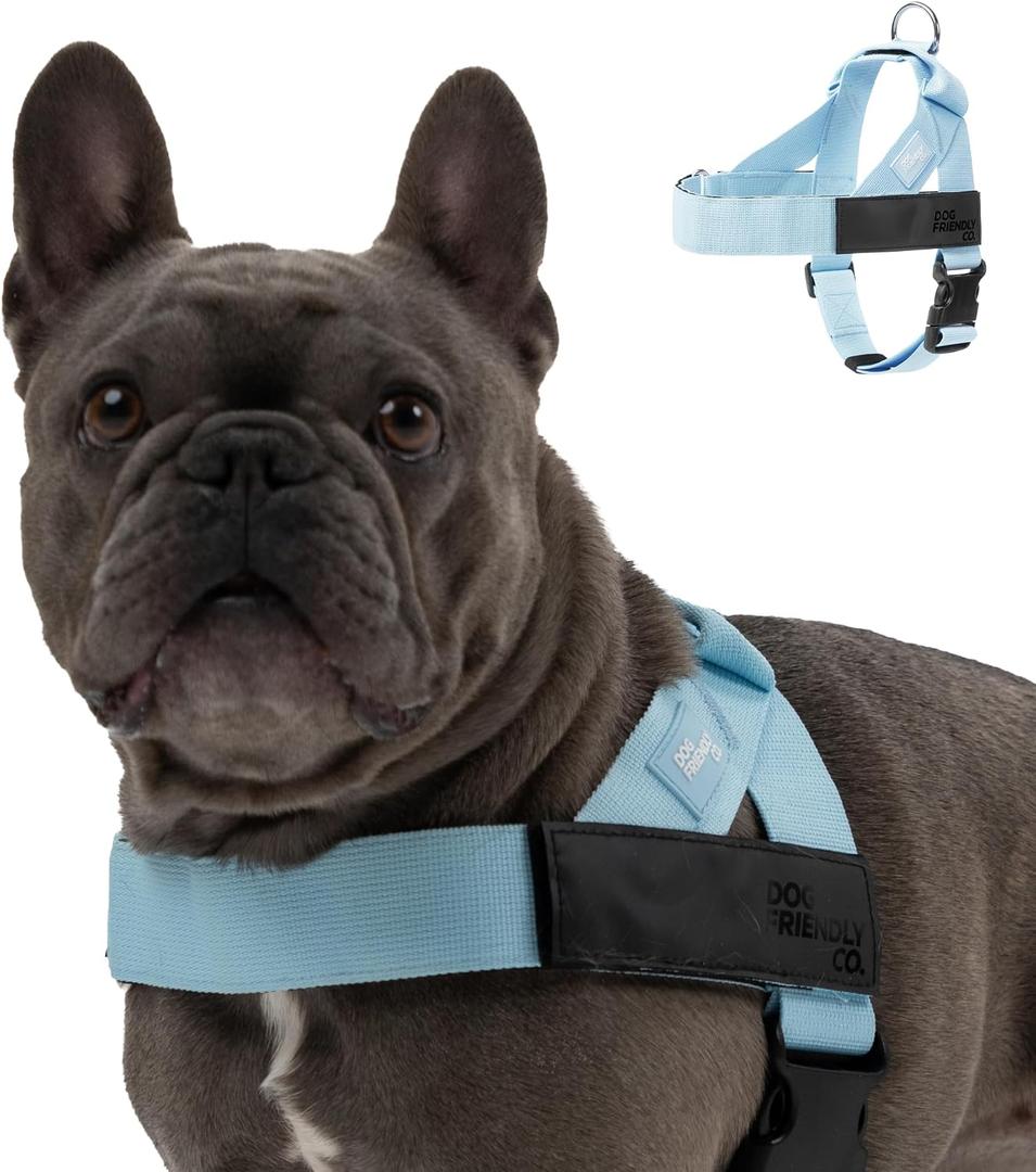 Dog Friendly Co. Dog Harness | Chafe Resistant Webbing, Adjustable Neck & Chest, and Heavy Duty D-Ring | Sturdy, Comfortable, Easy to Use | Sky Blue, Size L