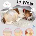Dono Dog and Cat Diapers Female-60PCS, Disposable Female Dog Period Diaper for Heat with Wetness Indicator, Super Absorbent Doggie Puppy Diapers Female for XXS,Small Medium Large Dogs